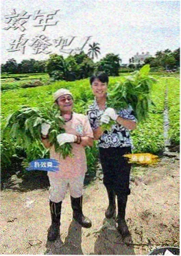 街头料理对决 韩国综艺免费